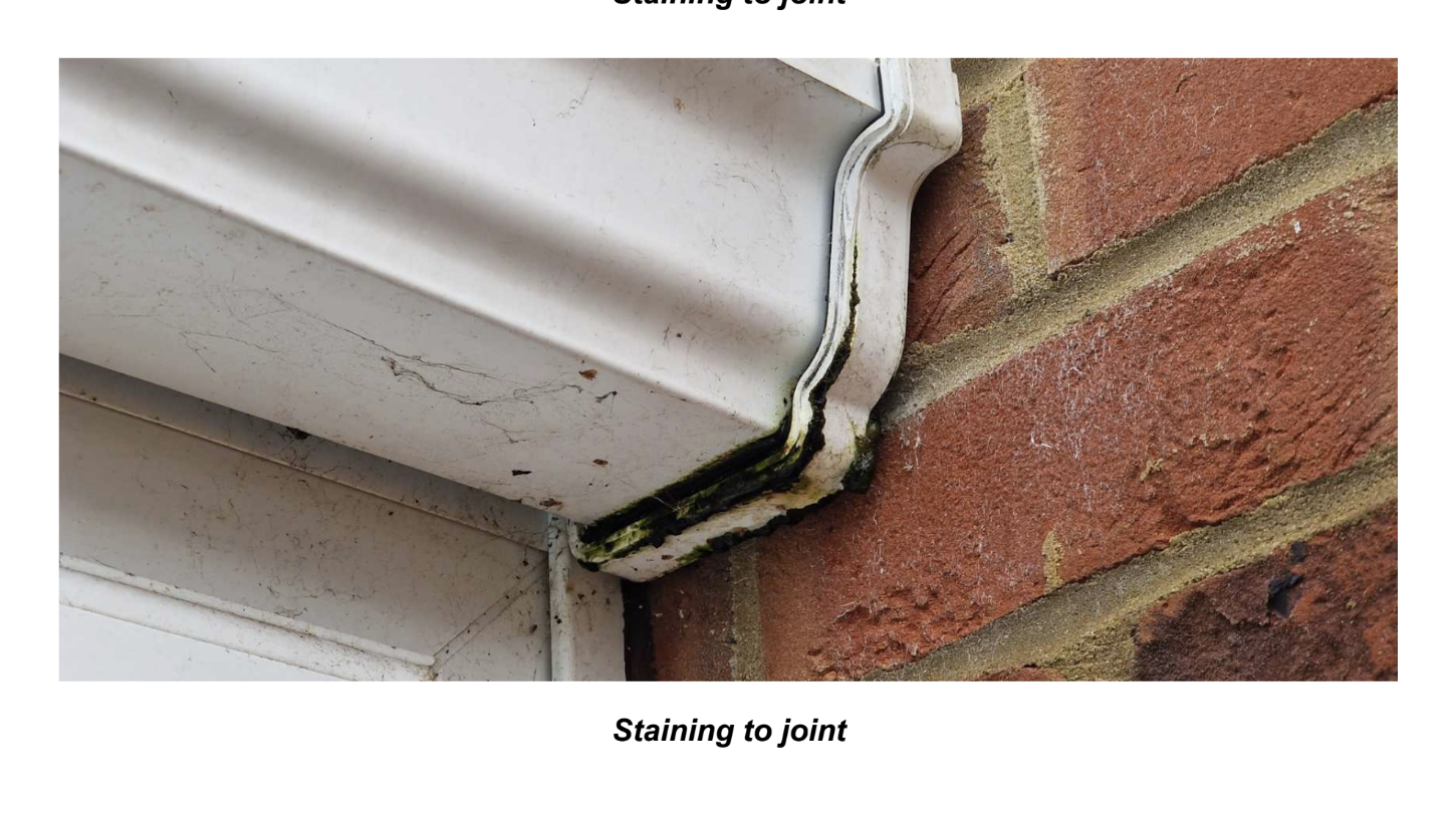 Screenshot 2023-01-29 at 09.06.46.png