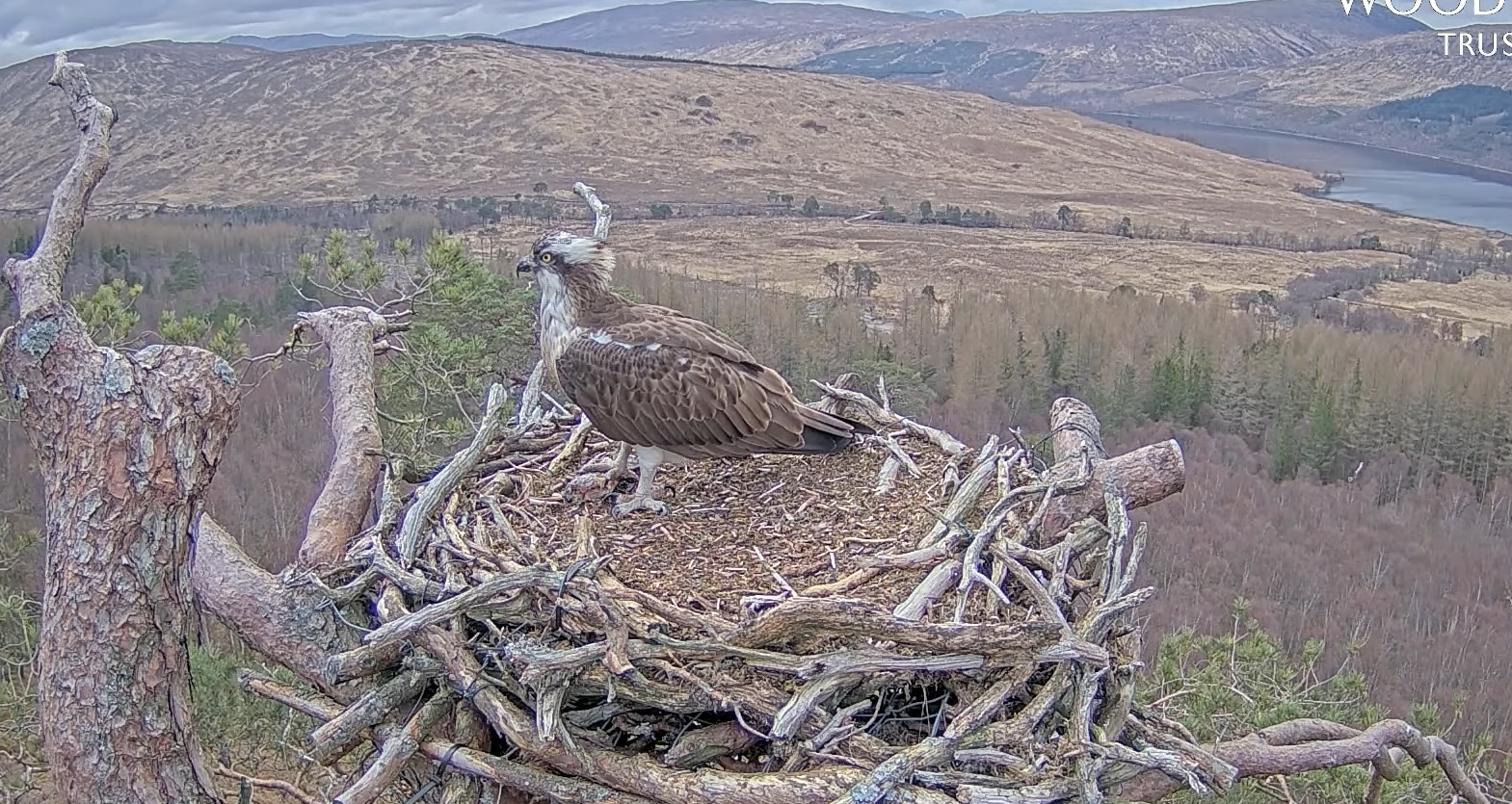 Screenshot 2023-04-02 at 18.24.39.png