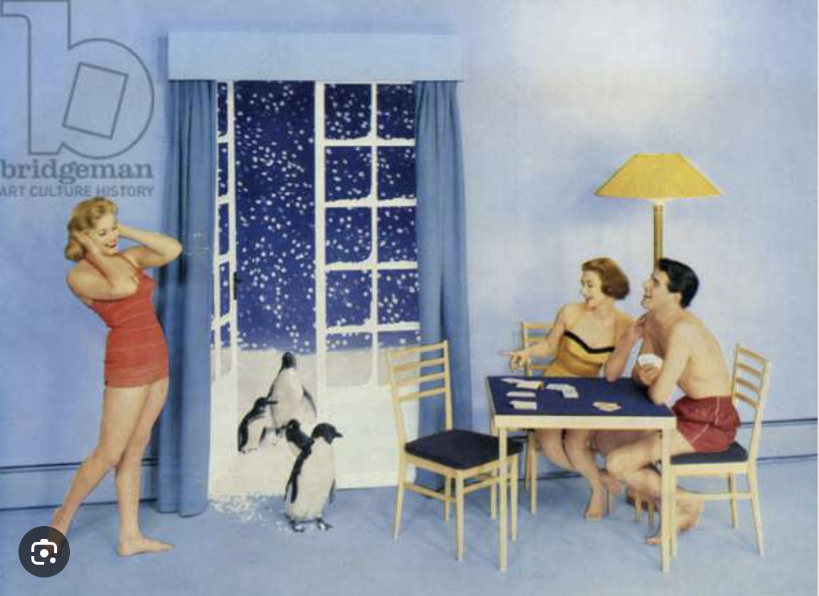 Screenshot 2023-11-27 at 15.03.59.png