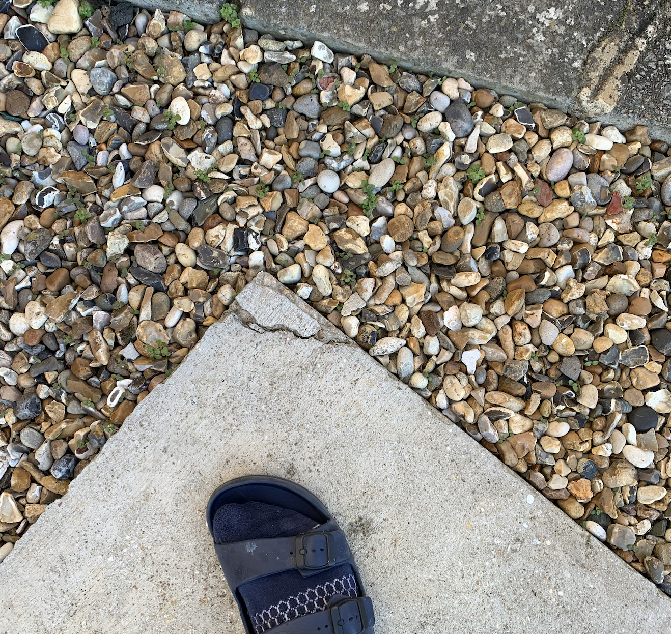 Screenshot 2025-03-15 at 5.19.59 PM.png