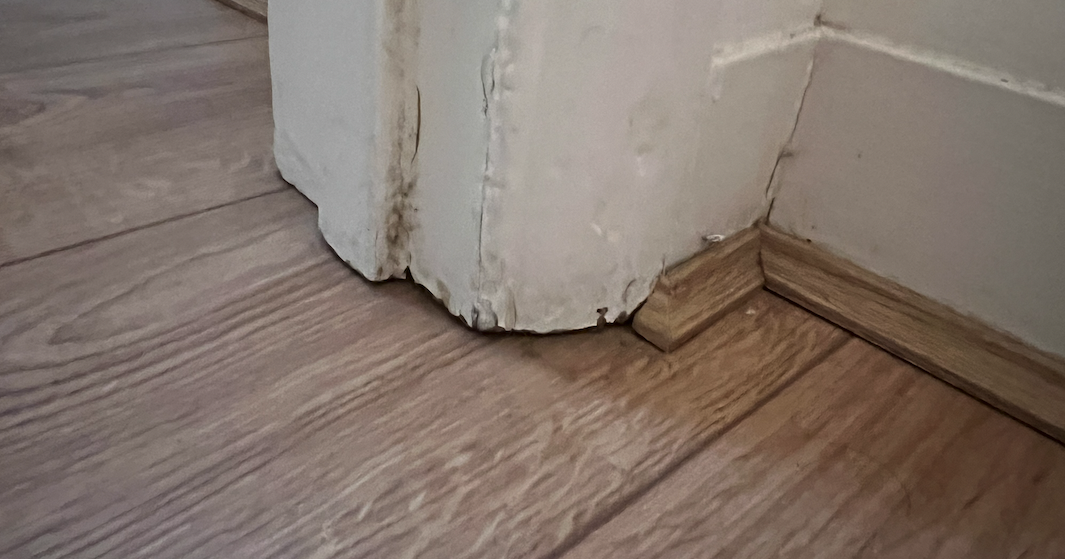 Screenshot 2025-10-03 at 11.16.23.png