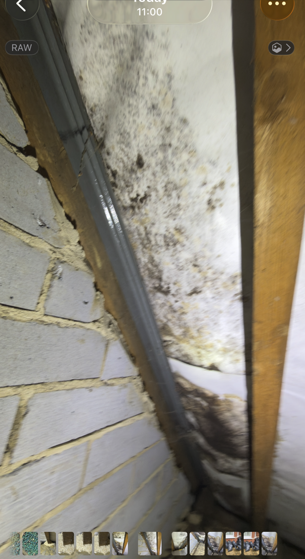 Screenshot 2025-11-05 111900.png