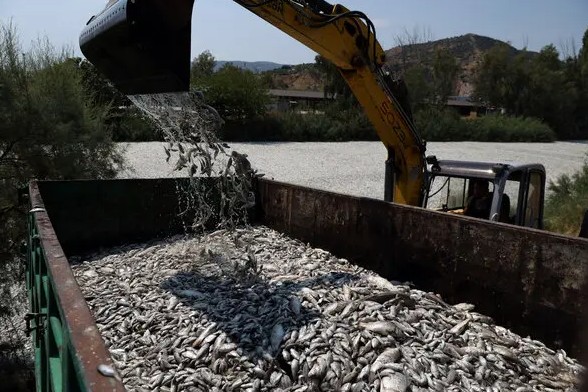 Screenshot 2026-03-24 165419.jpg