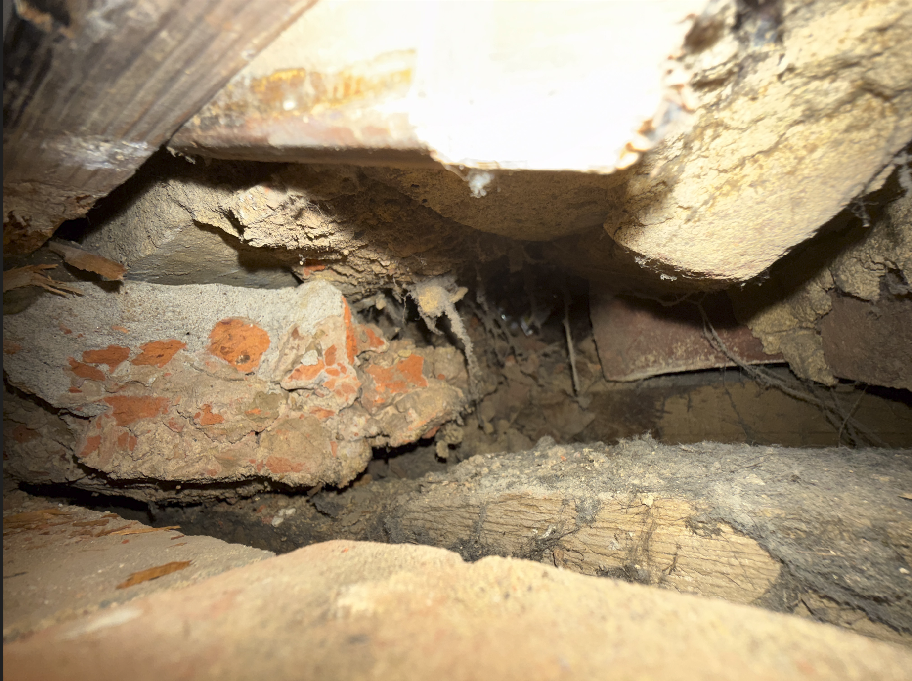 Screenshot 2026-04-04 141026.png