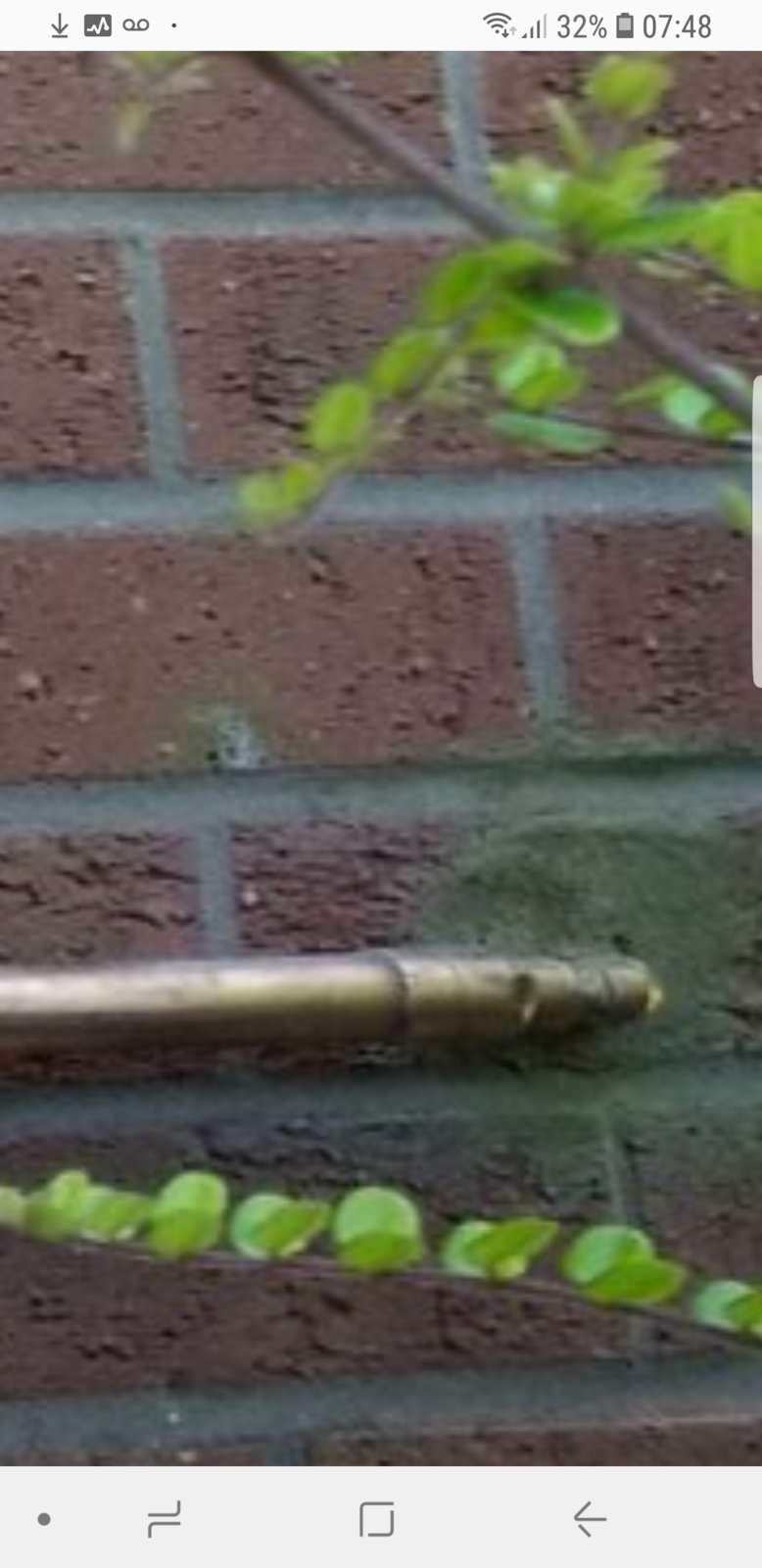 Screenshot_20180628-074830_Samsung Internet.jpg