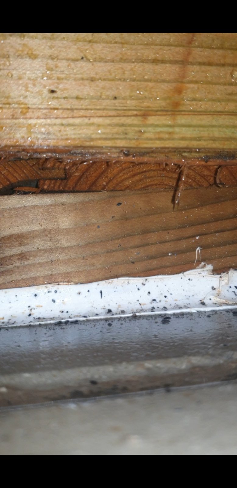 Screenshot_20190815-235010_Video Player.jpg