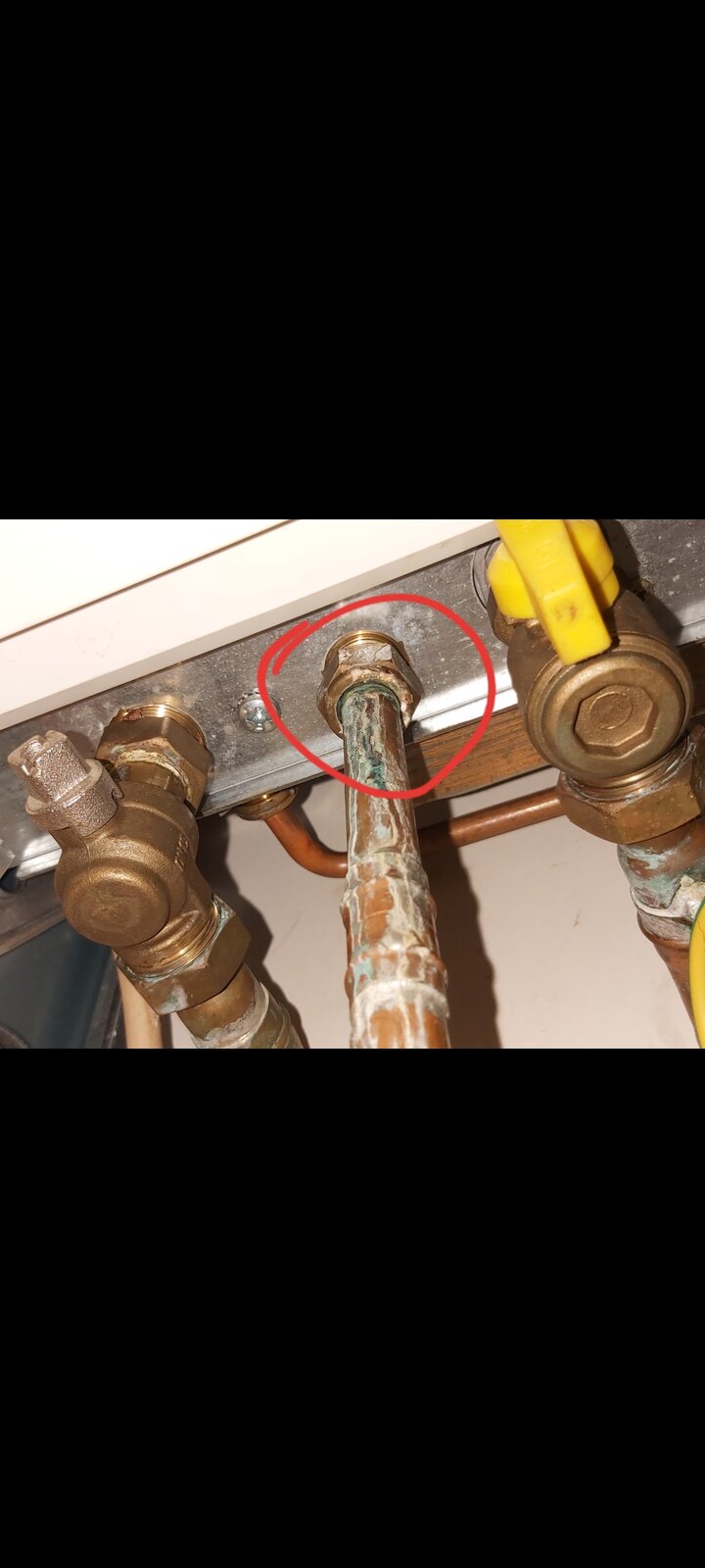 Screenshot_20200803-174716_Gallery (3).jpg