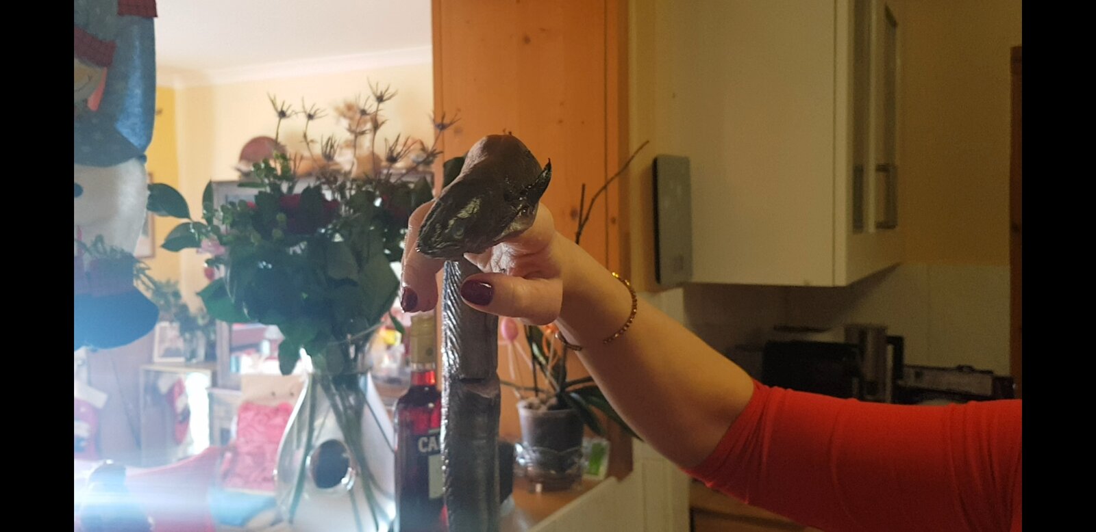 screenshot_20210107-191007_video-player-jpg.217553