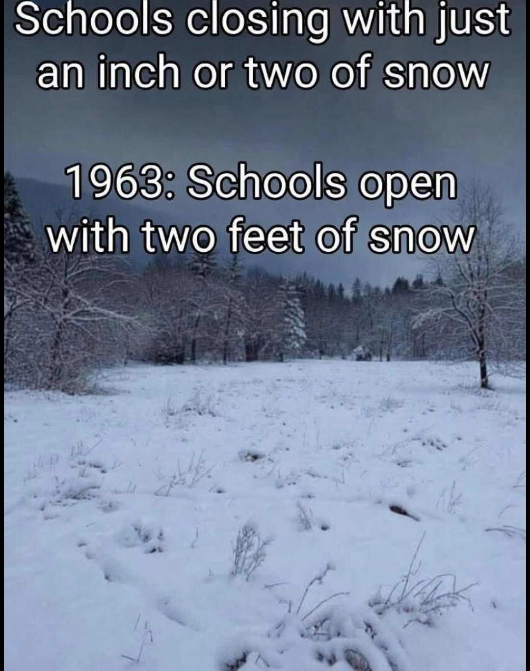 Screenshot_20260107_171219_Samsung Internet.jpg