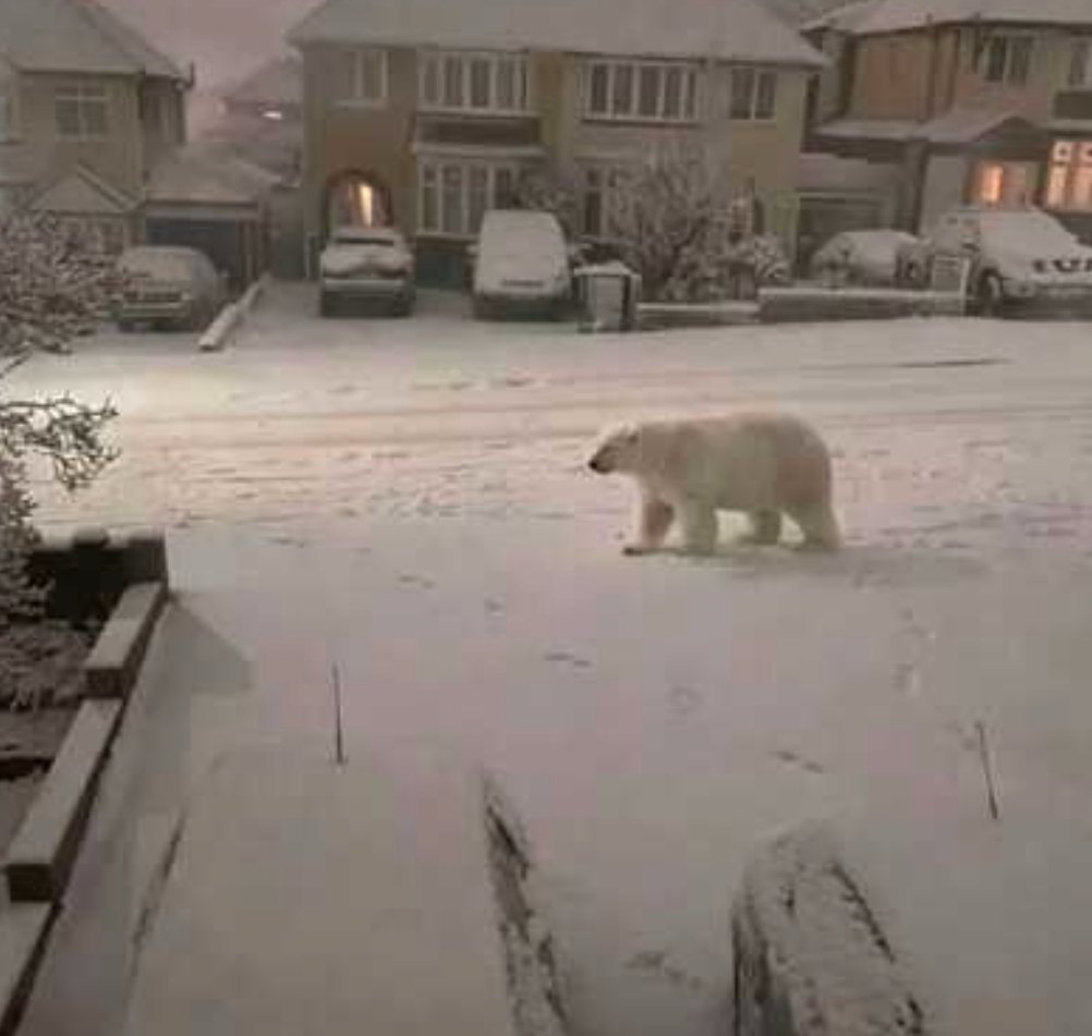 Screenshot_20260109_180851_Samsung Internet.jpg