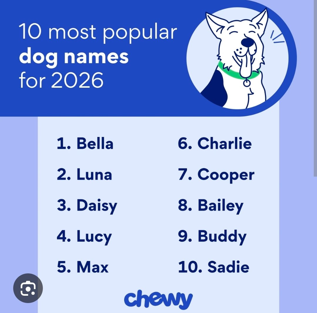 Screenshot_20260809_192209_Chrome.jpg