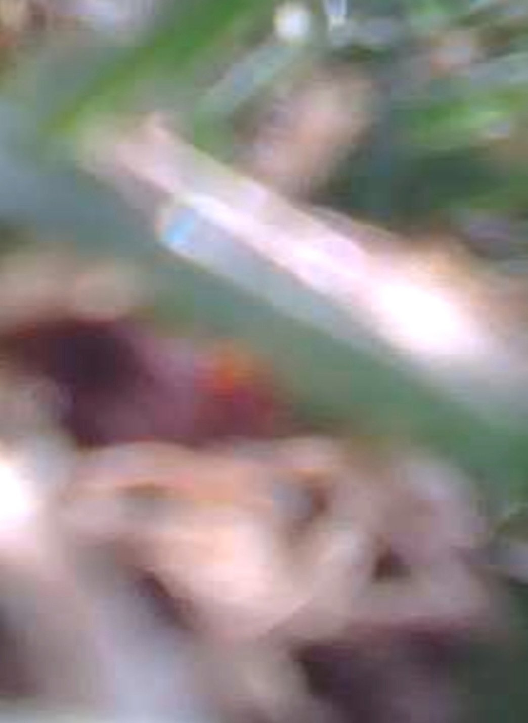 Screenshot_20260816_211251_Gallery.jpg
