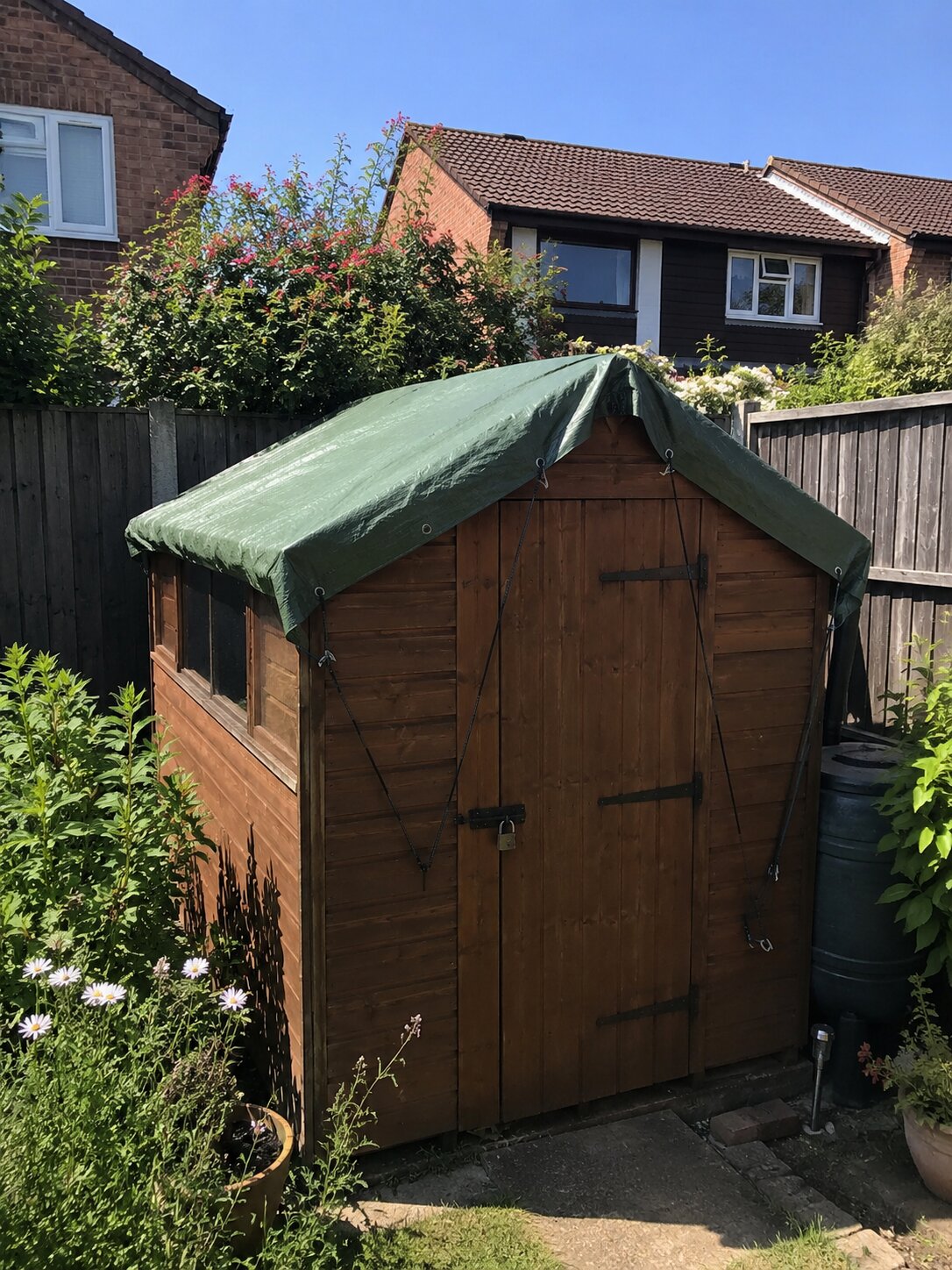 shed roof.jpg