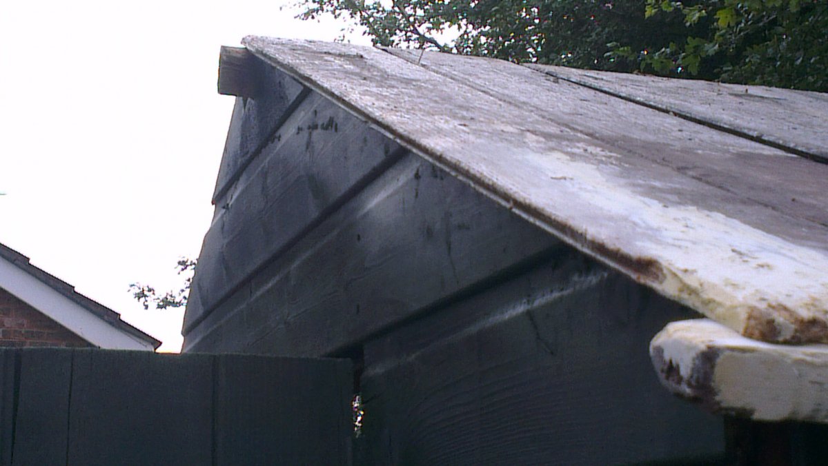 shedroof01.jpg