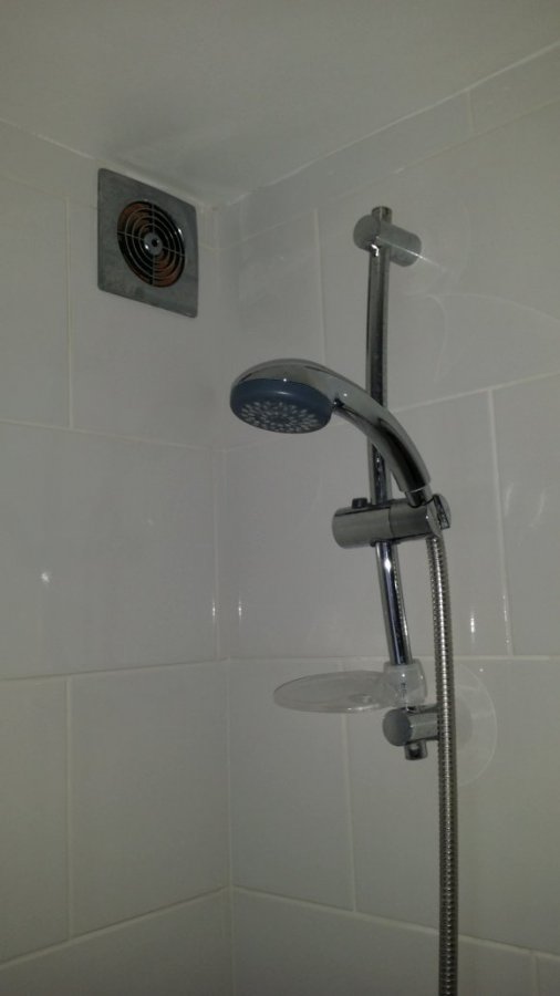 shower-jpg.89019
