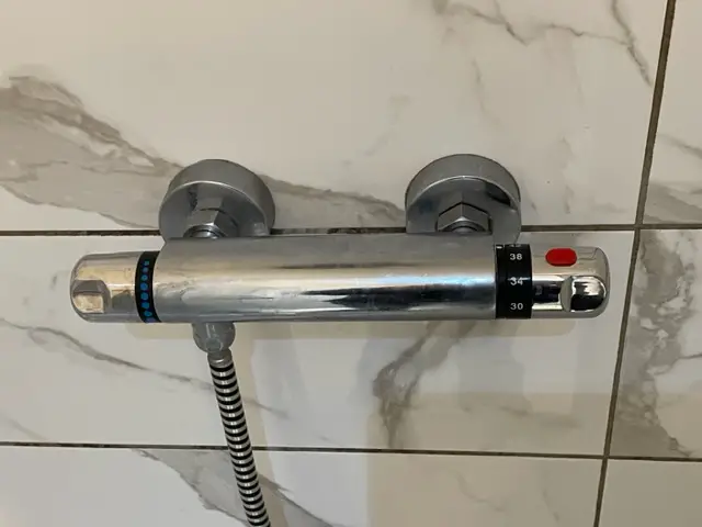 Shower mixer tap.jpg