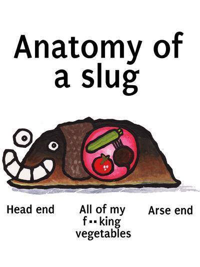 slug.jpg
