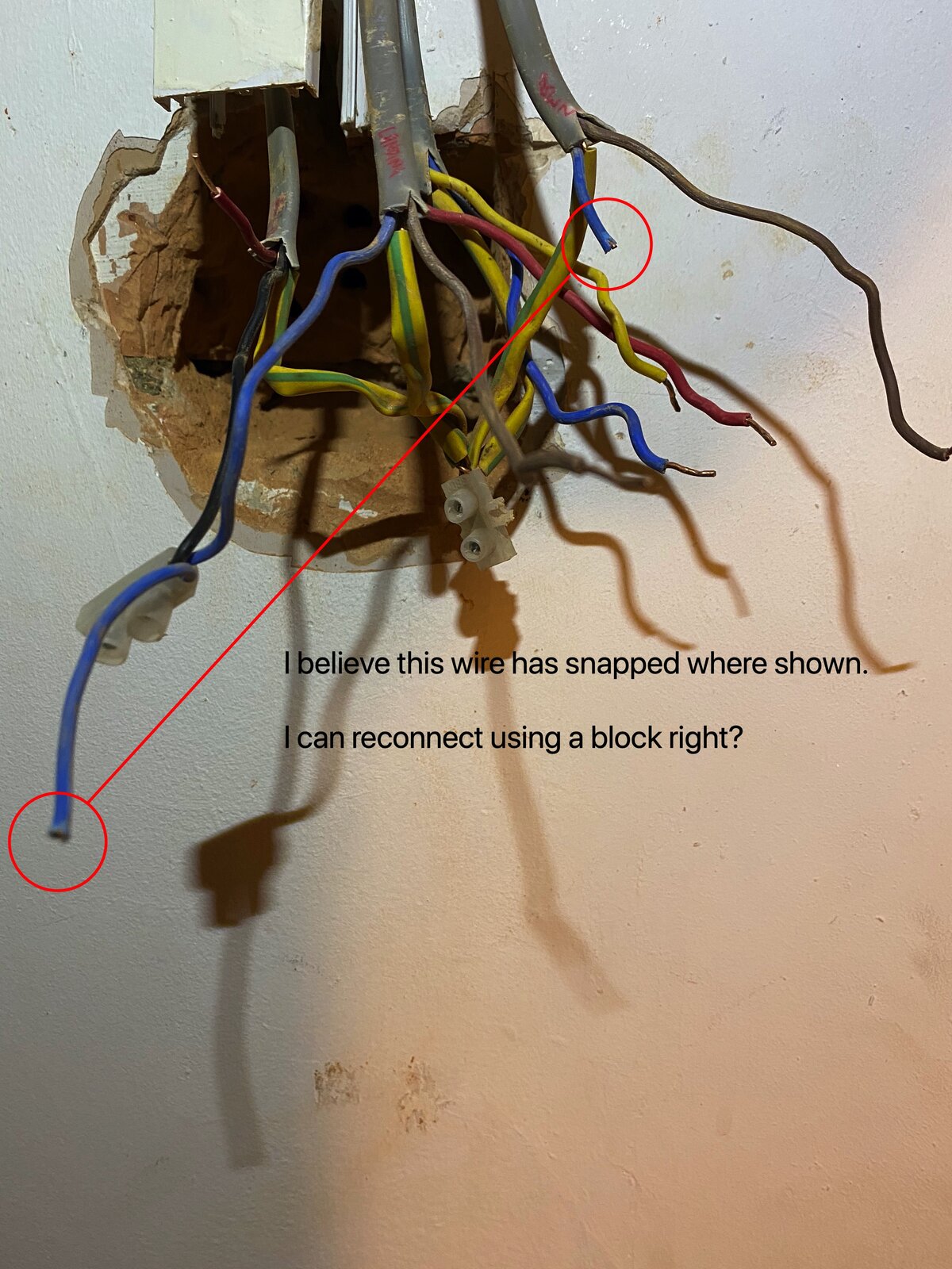 Newbie trying to swap double switch for double dimmer HELP!! DIYnot