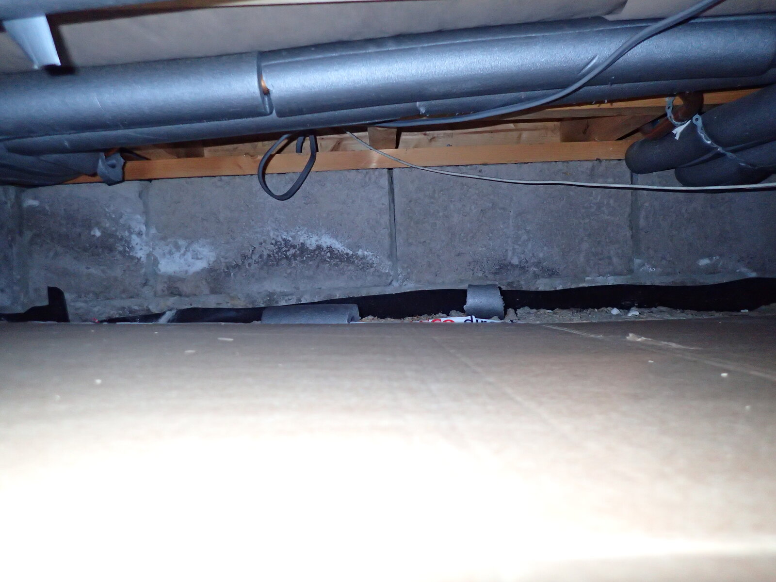 Solid wall P3044551.JPG