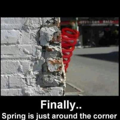 Springtime.jpg
