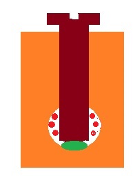 stranded and solid in terminal.jpg