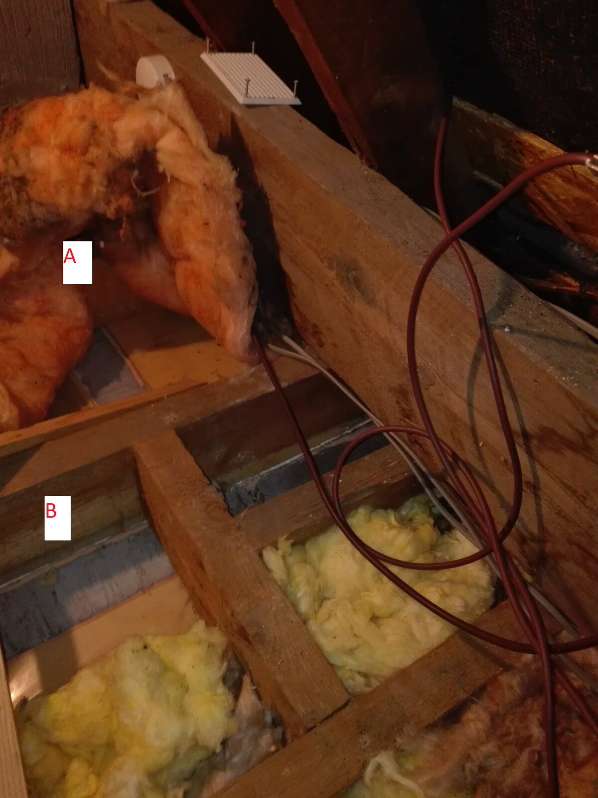 supporting wall (1).jpg