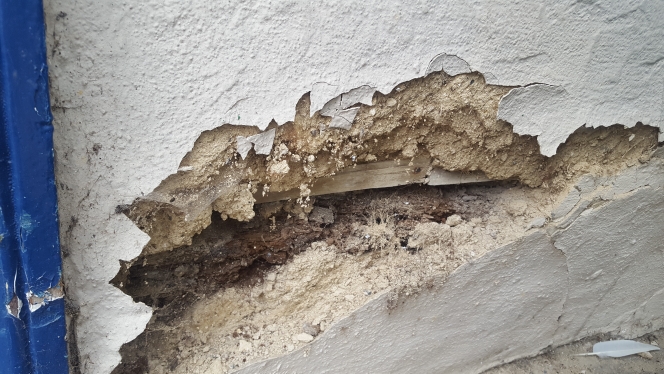 Temp 20170907_144735.jpg