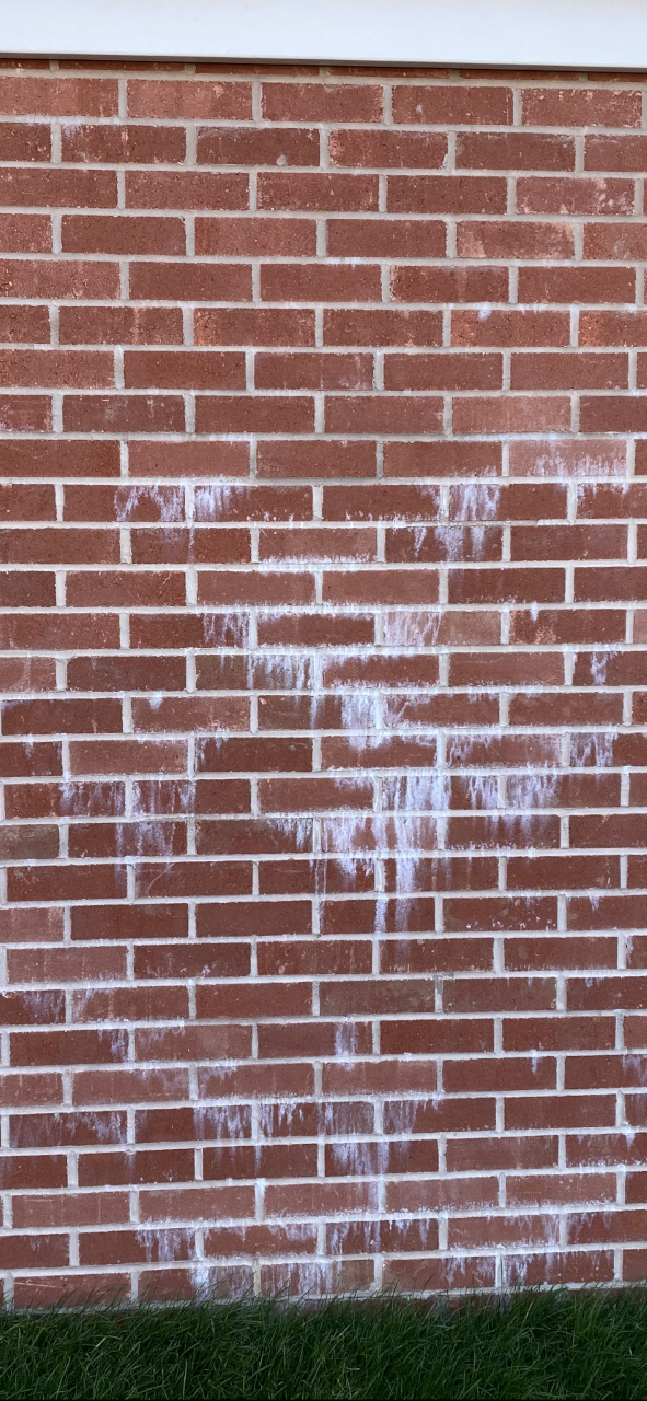 thumbnail_Image 4.png