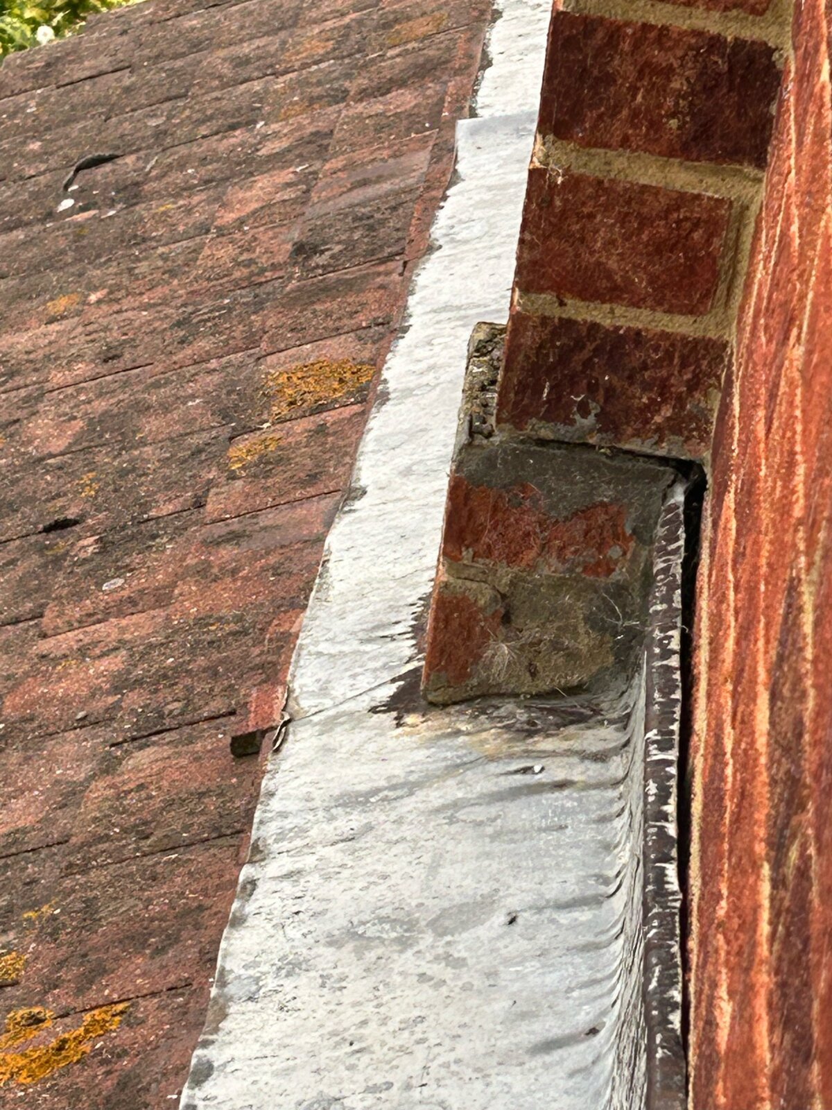 thumbnail_image2 (2).jpg