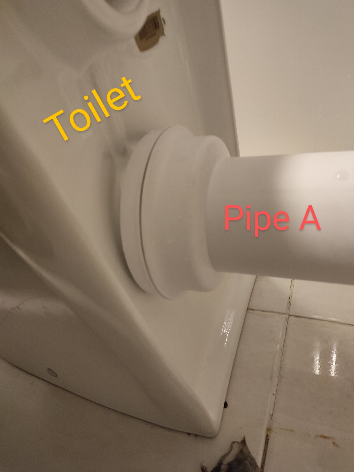 toilet 1.jpg