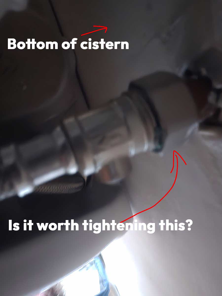 toilet-bottom.jpg