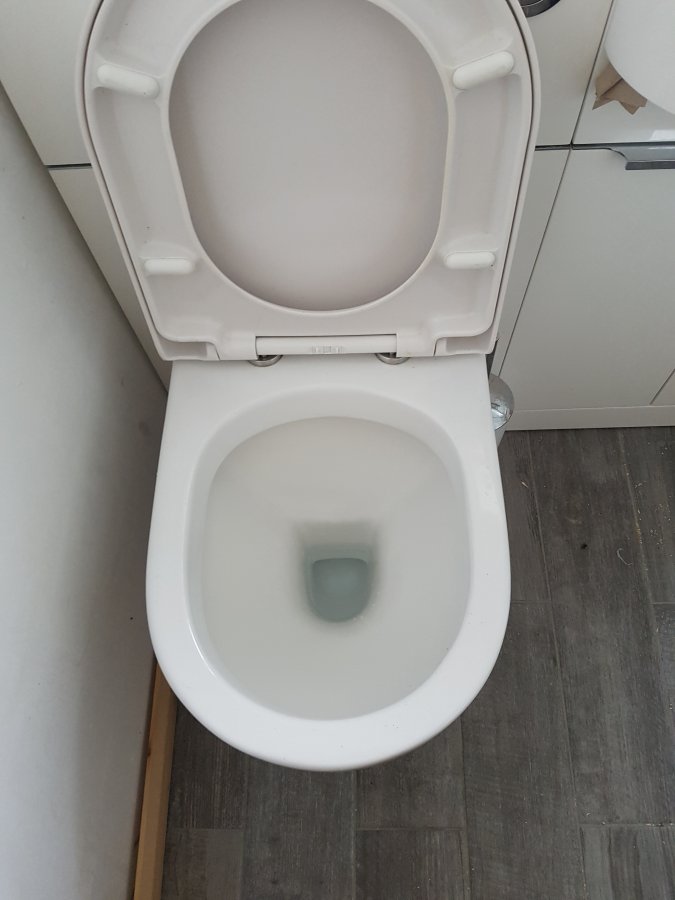 Toilet Seat 2.jpg