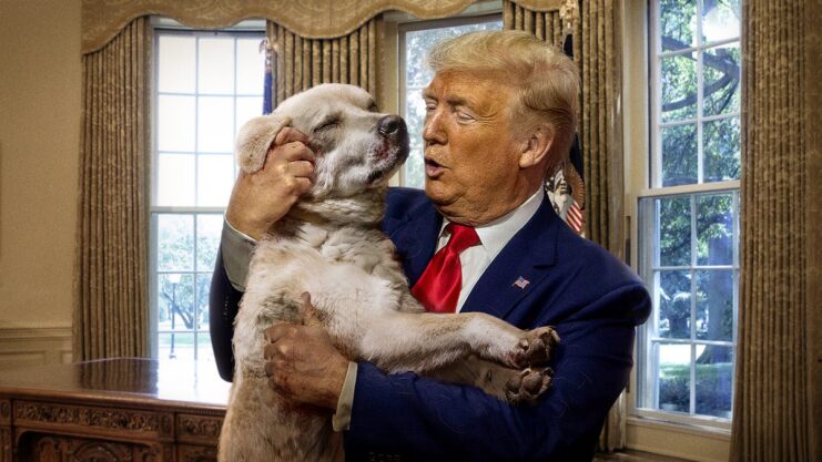 trump-with-dog-2737581811.jpg