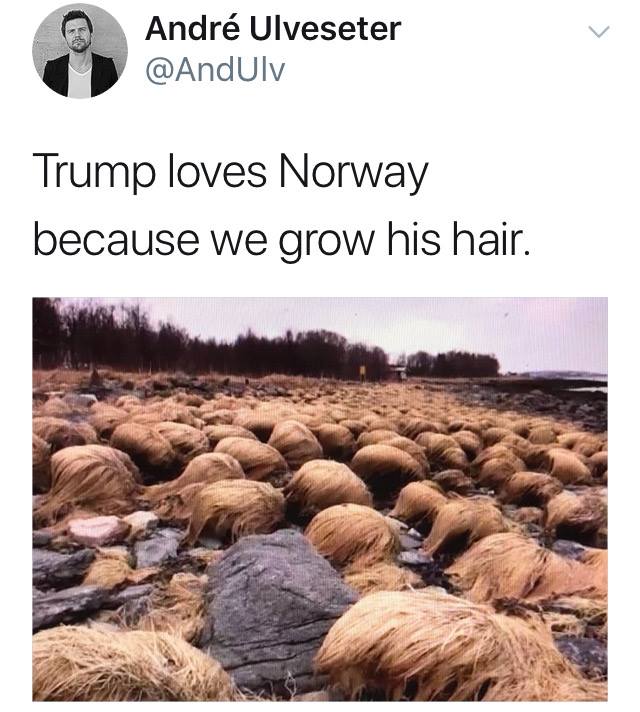 TrumpHair.jpg