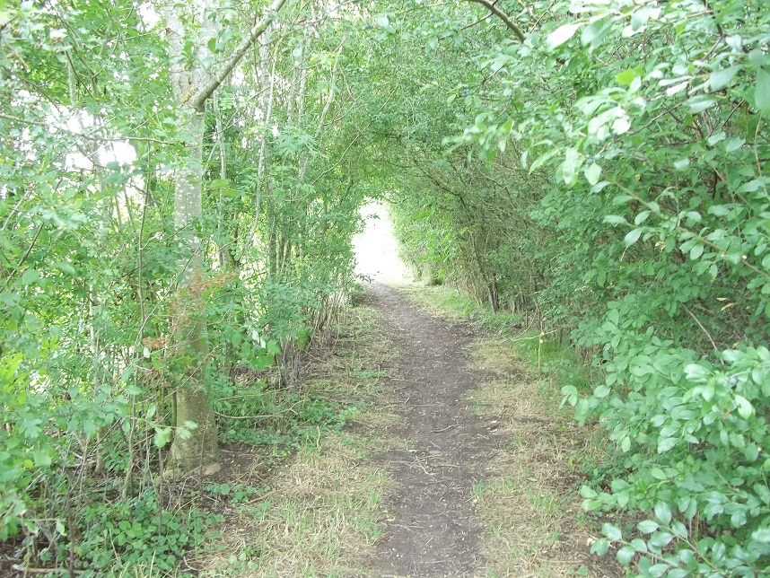 tunnel at Cobb Hall.jpg