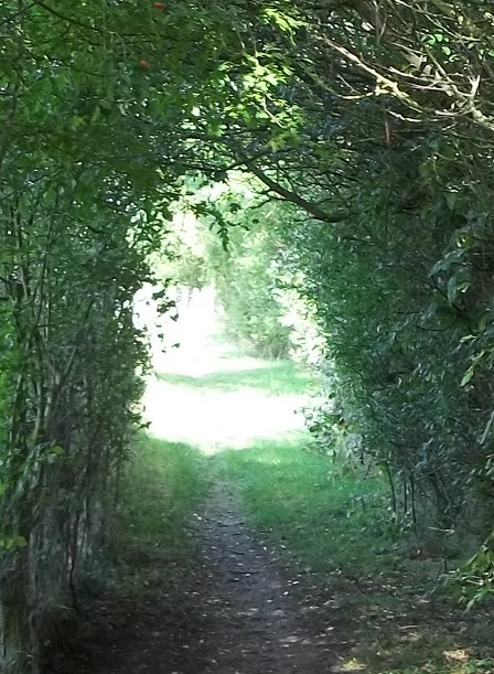 tunnel light at end.jpg