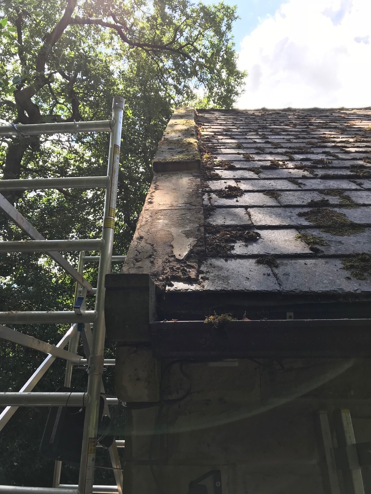 under coping stones.jpg