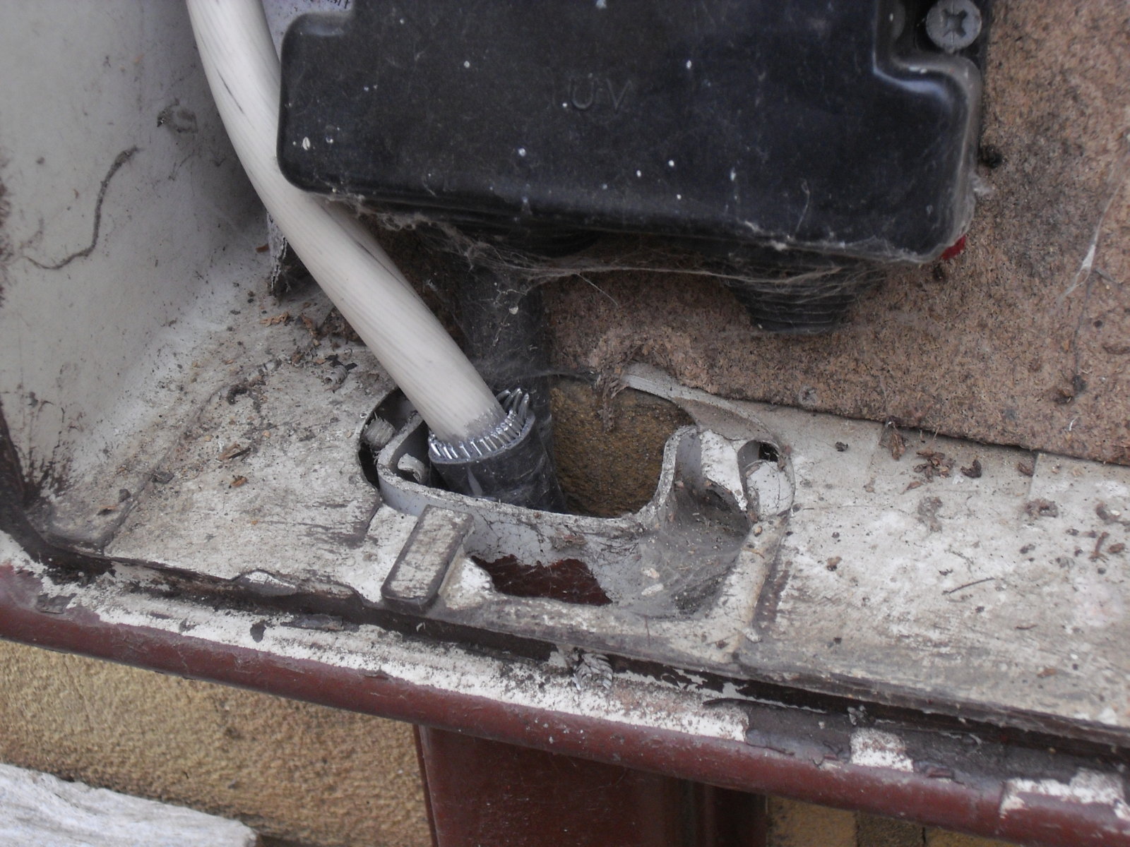 upload_2020-6-4_10-3-47-jpeg.194658