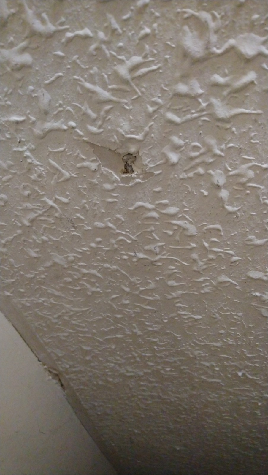 Is this Artex, Wallpaper or Textured Paint DIYnot Forums