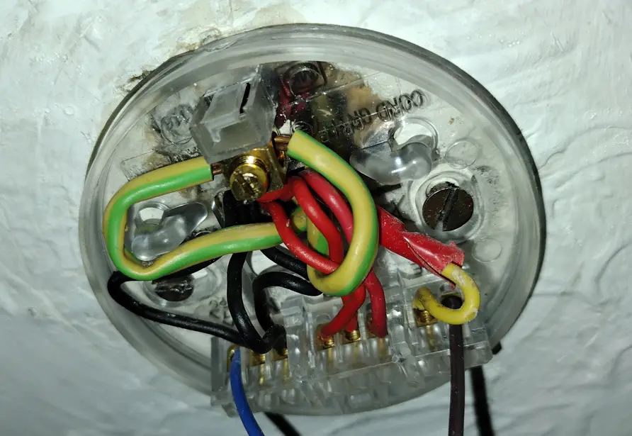 Ceiling Rose Confusion Diynot Forums, Wiring A Ceiling Rose With No Loop
