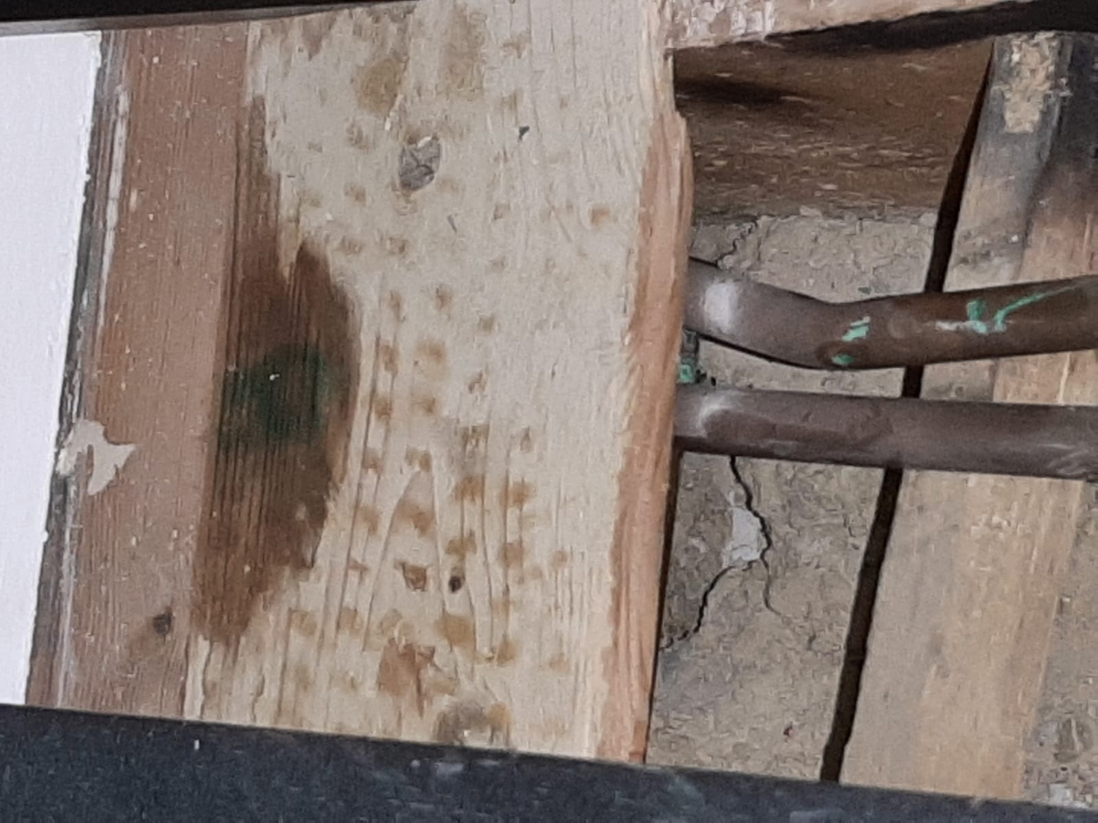 Topside of floorboards are wet... underside dry... no leaks from