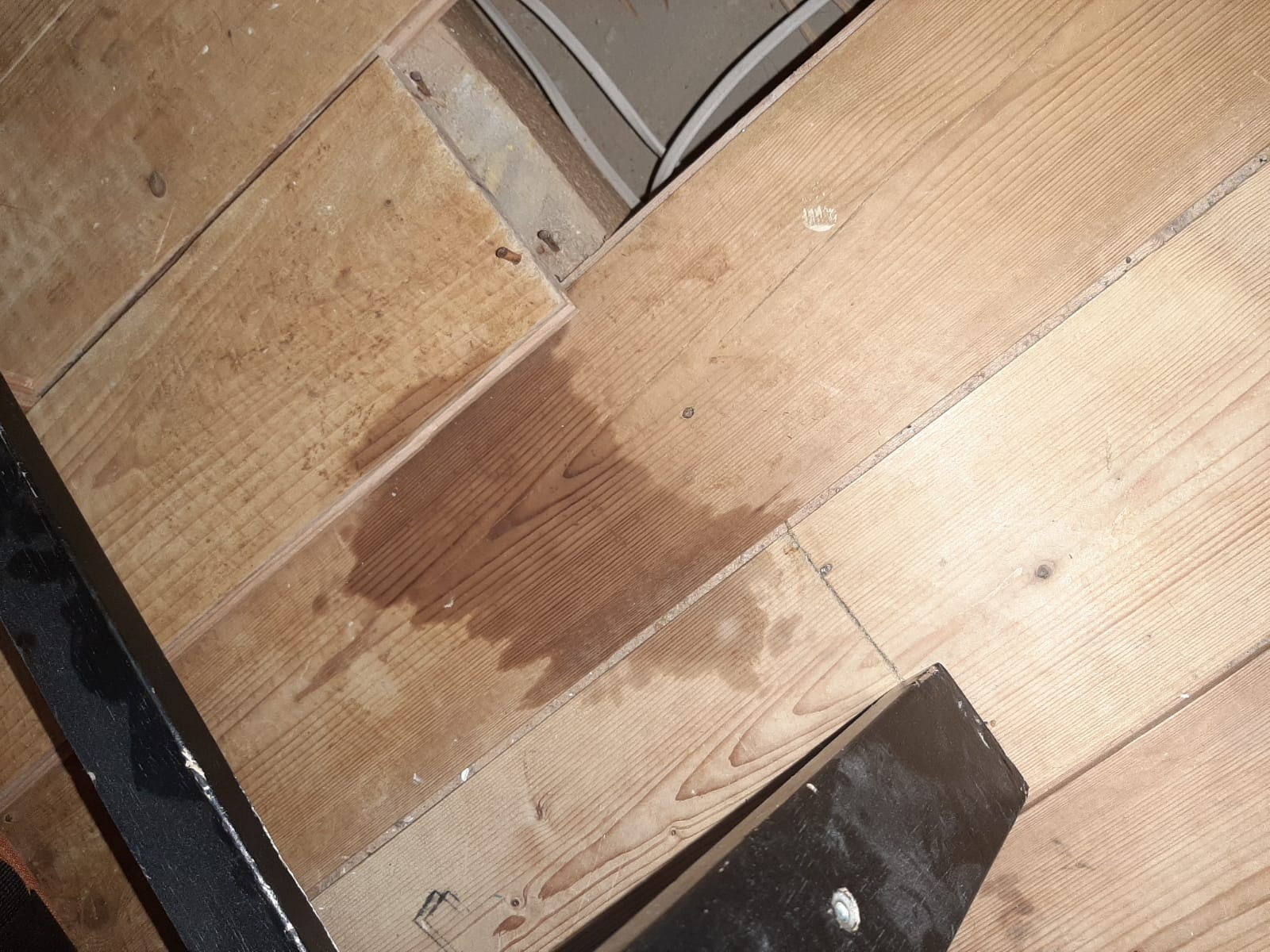 Topside of floorboards are wet... underside dry... no leaks from