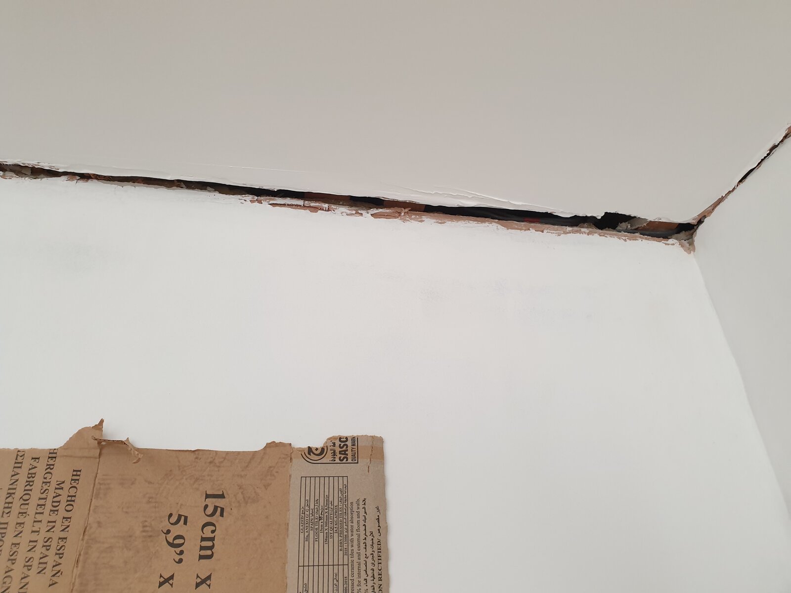 Uploaded via Android app.jpg