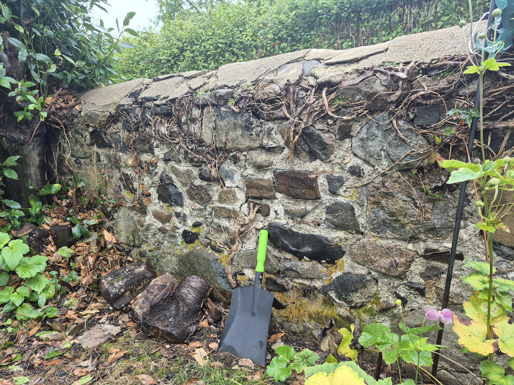wall-rear.jpg
