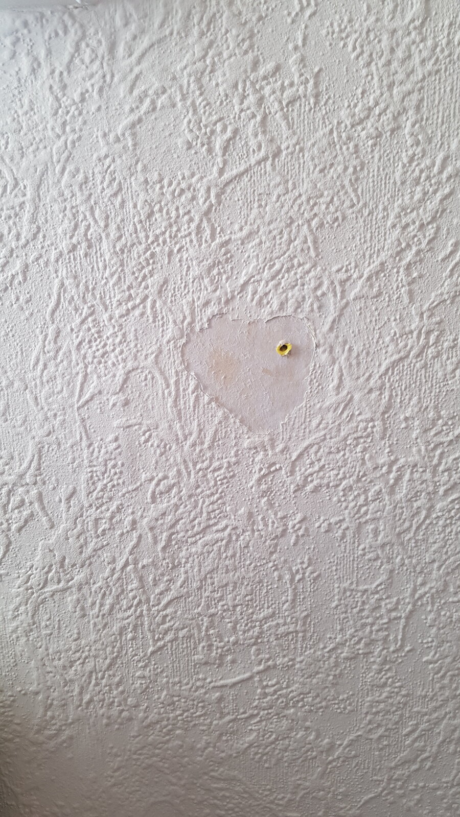 Is This Artex Diynot Forums