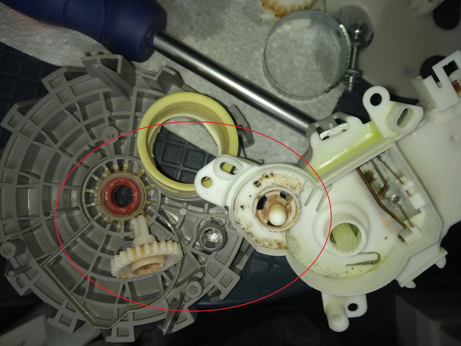 Water distribution leak 4.jpg