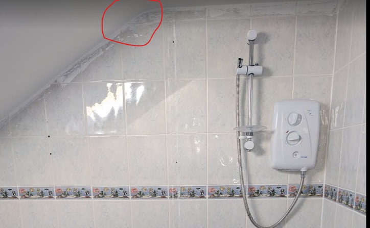 Web capture_19-1-2024_13814_photos.google.com.jpeg