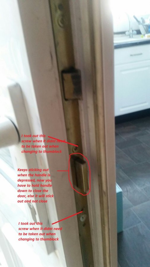 WhatsApp Image 2017-07-10 at 13.39.00.jpeg