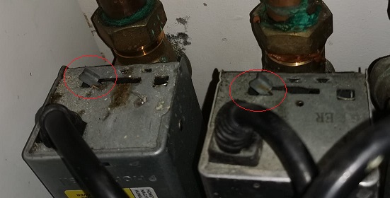 WhatsApp Image 2019-12-06 at 12.24.11.jpeg