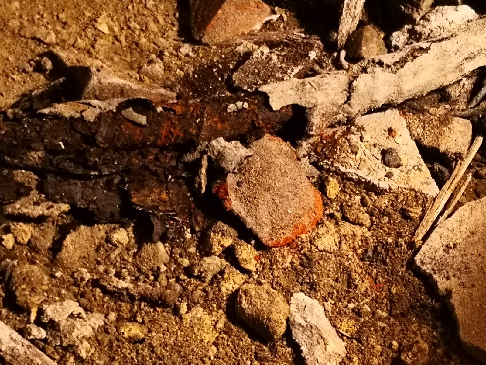 WhatsApp Image 2021-01-07 at 16.25.43.jpeg